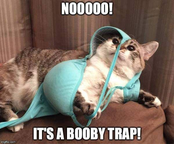 boobytrap.jpg