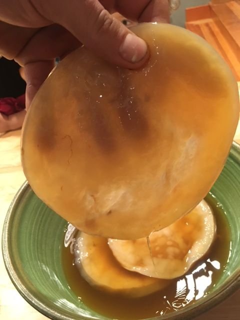 SCOBY.JPG