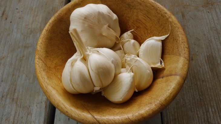 garlic-1374329_1920-730x410.jpg