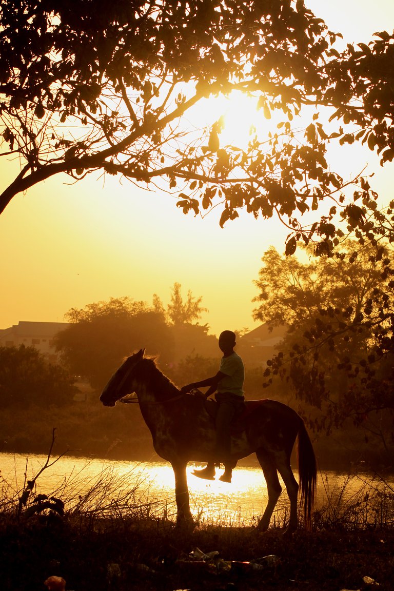 EVENING-RIDE.jpg