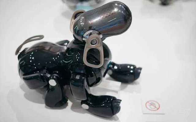 Sony+reportedly+announcing+new+robot+dog+next+month.JPG