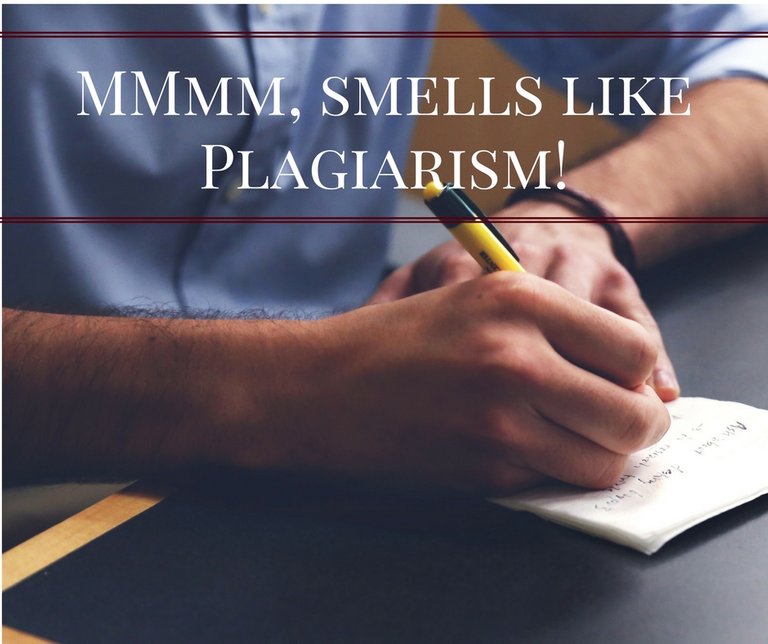 MMmm, smells like Plagiarism!.jpg