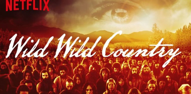 wilwild_destacado-820x406.jpg