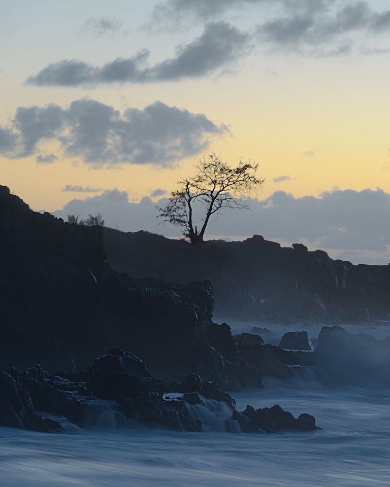 Waimea Bay 1 copy.jpg