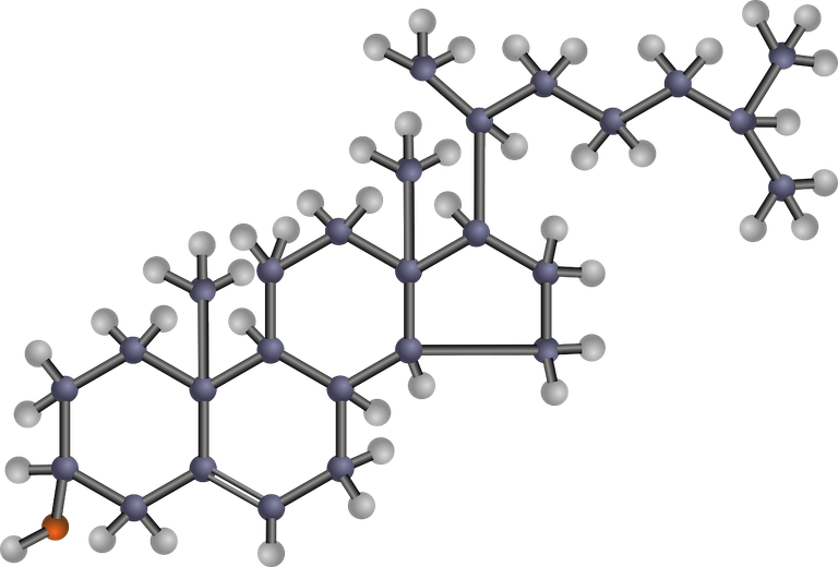 cholesterol-149091_1280.png