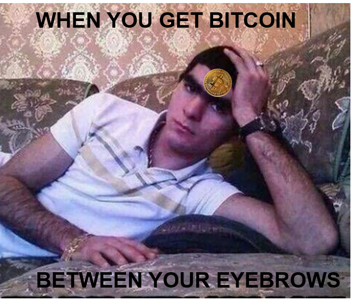 BTC EYEBROWS.png