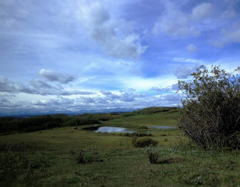 A view from the Foothills of Alberta.jpg