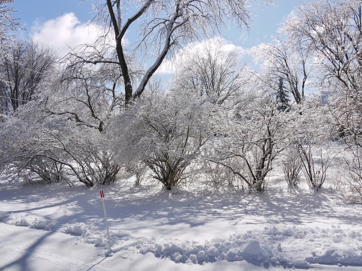 8bd9eab19a296d6af9940e64fcf5e791--ice-storm-tornados.jpg