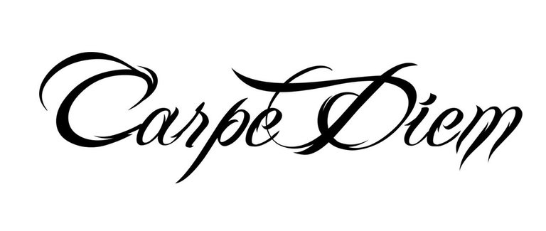 carpe diem typography.jpg