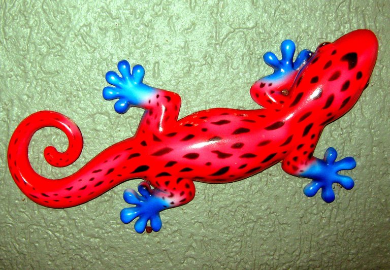 Red Lizard.JPG