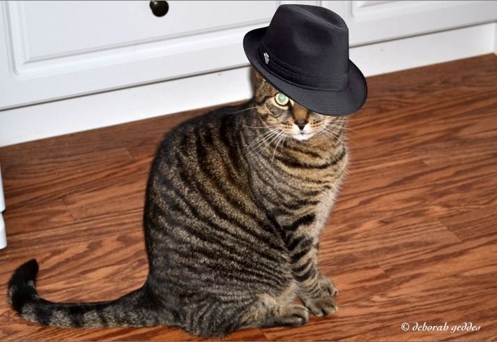 Thomas in fedora.jpg