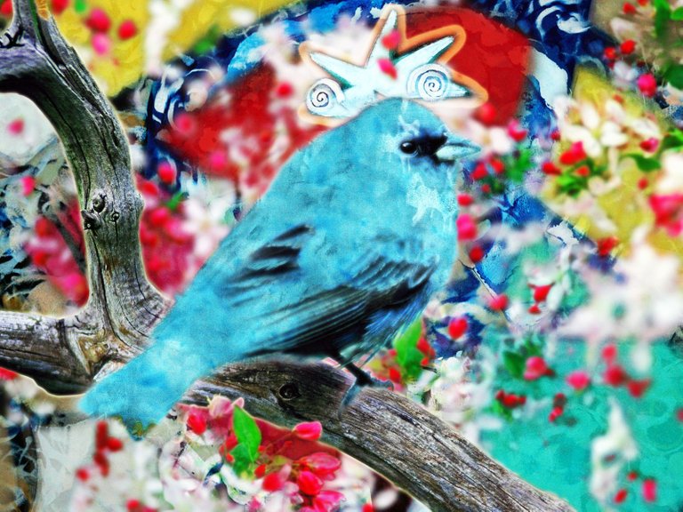 BLUE BIRD.jpg