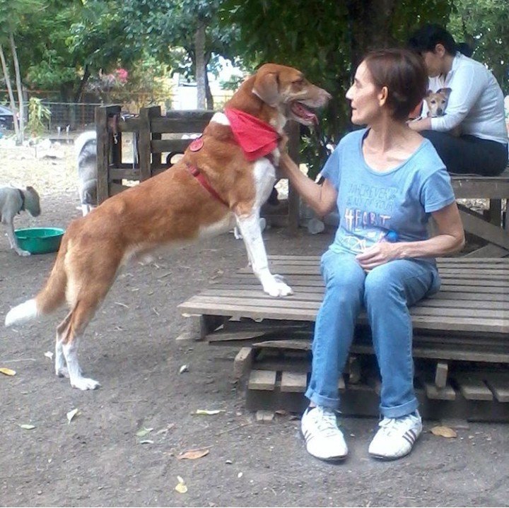 beto en el parque.jpg