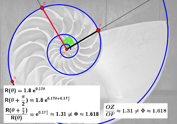 fibonacci.png