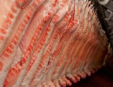 lamb---hanging-carcases2-452x298.jpg