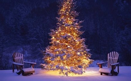 christmas-tree-images7.jpg