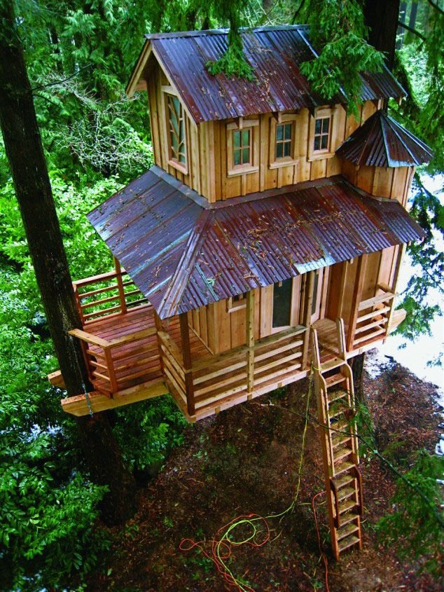 21-tree-house.jpg