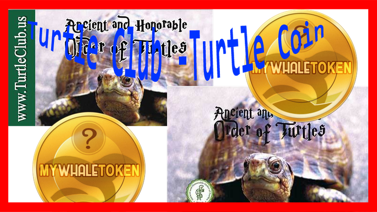 TurtleCoin-steemit.png