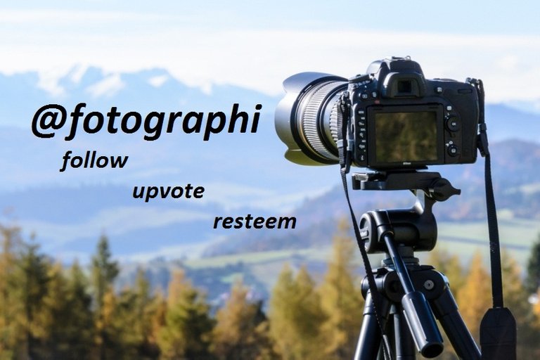 @fotographi.jpeg