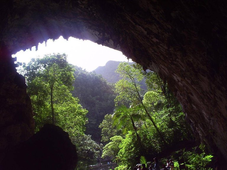 cueva el Guacharo.jpg