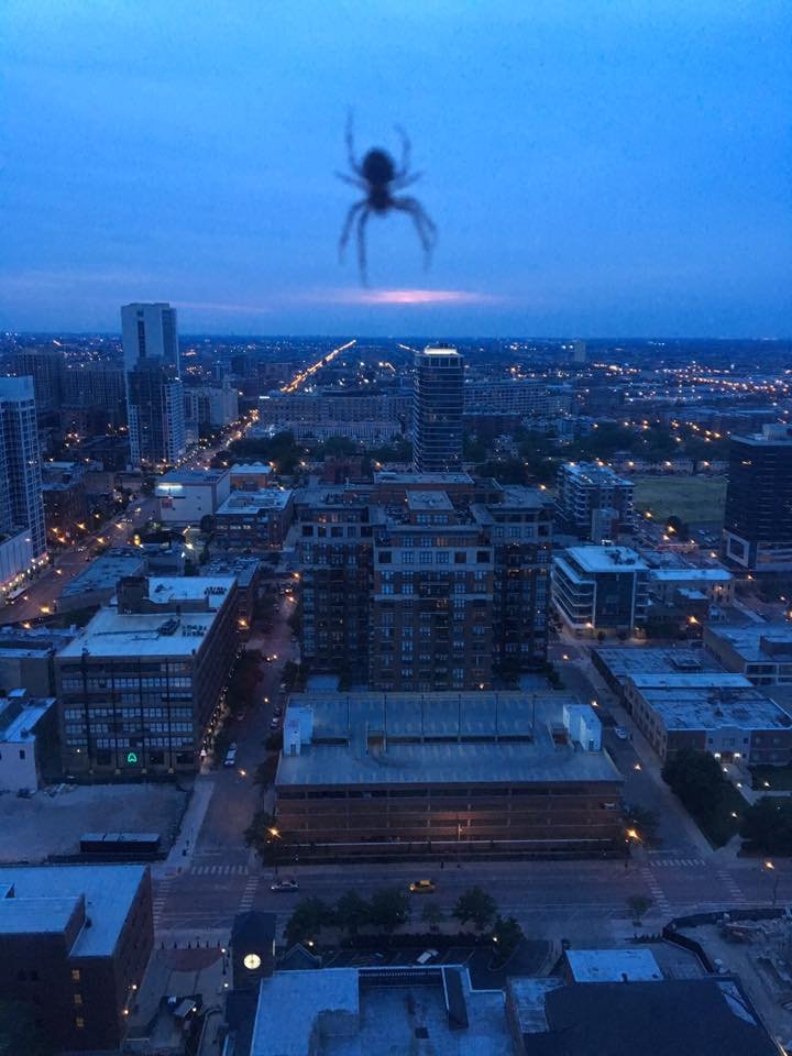 Sarah_Lombardi_Sky_spider.jpg