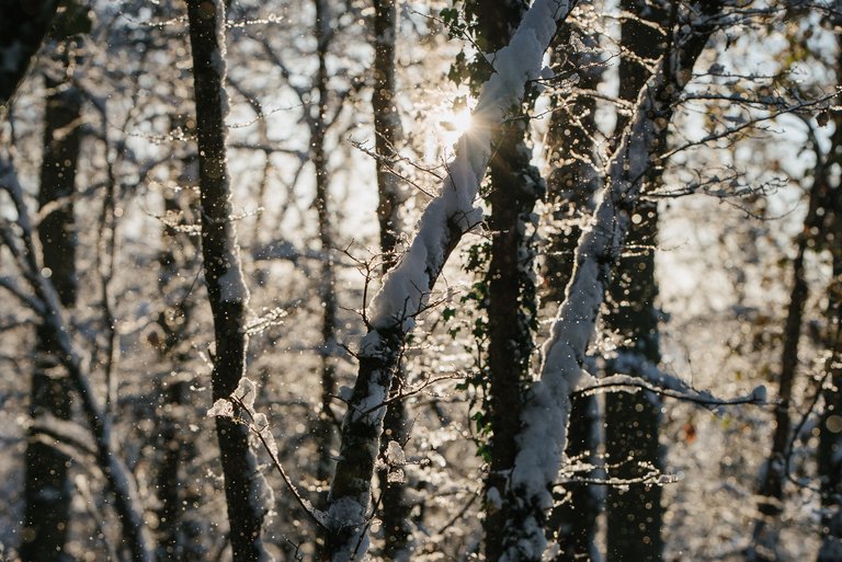 Winter snowfall in Worcestershire-3.jpg