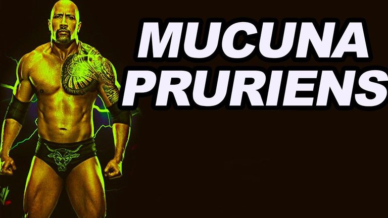 Mucuna Pruriens Dopamine.jpg