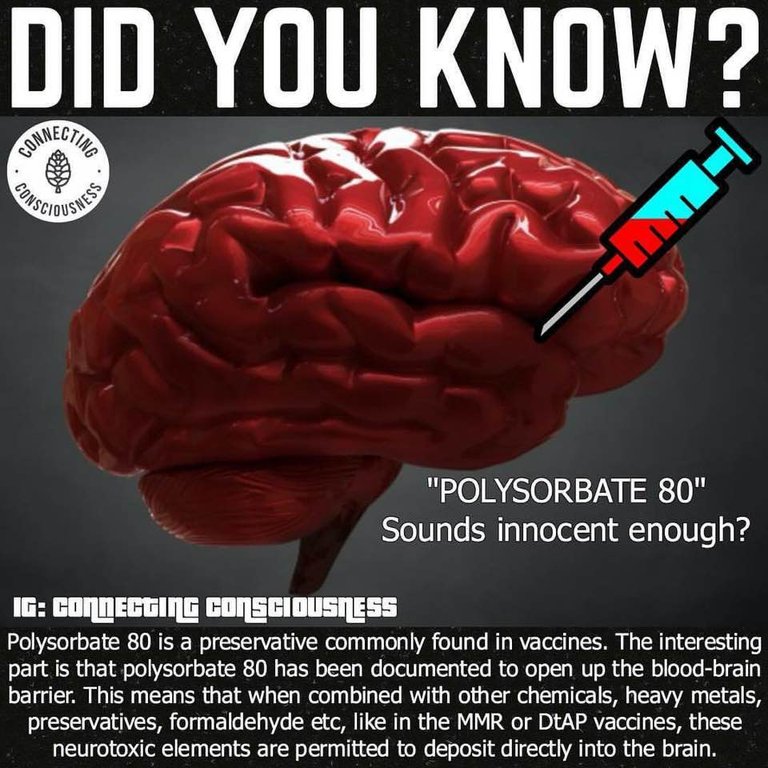 23472705_1528760637219003_3499292688254402298_n.jpg