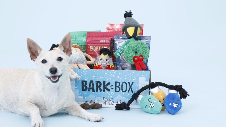 BarkBox-Holiday-960x540.jpg