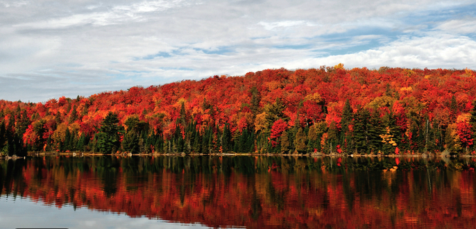 algonquin park.png