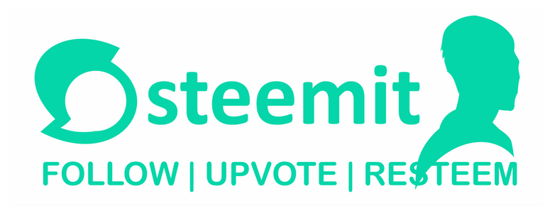 siluet fin steemit.png