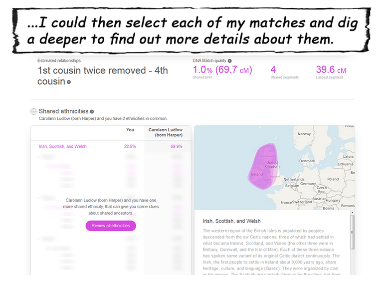 MyHeritage_DNA 4.png