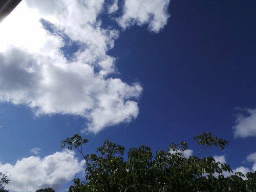 Clear sky 2.jpg