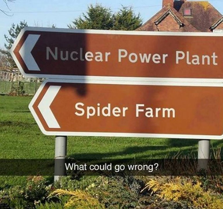 spider nuclear.jpg