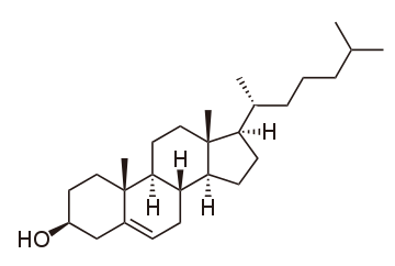 Cholesterol.svg (1).png