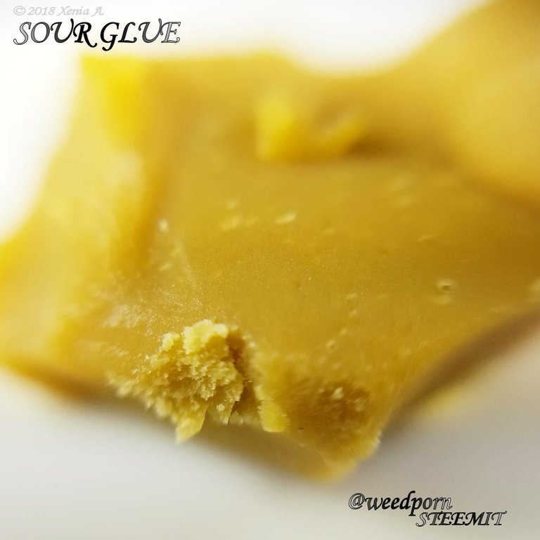 Wax Craft Sour Glue 20180106 WP.jpg