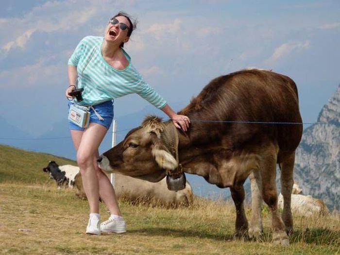 Cow with girl.jpg