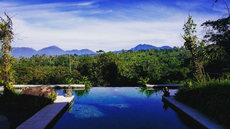 Morning View from Heaven in Bali.jpg