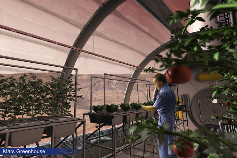 Mars_Greenhouse.jpg