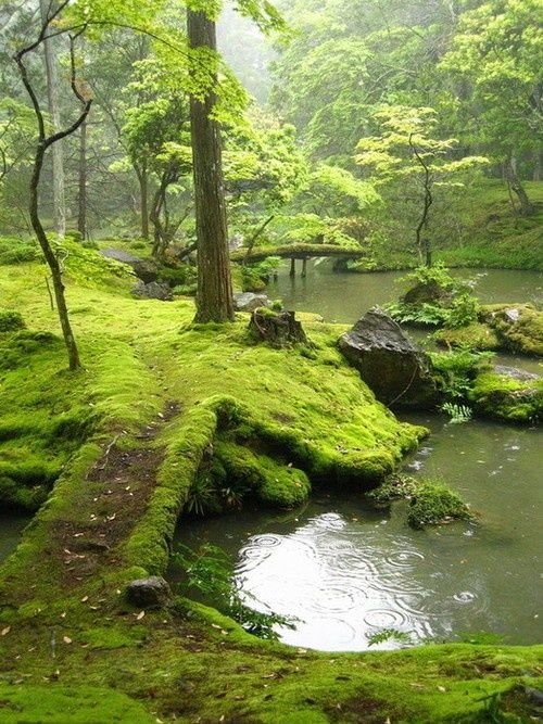 Bridges Park, Ireland.jpg