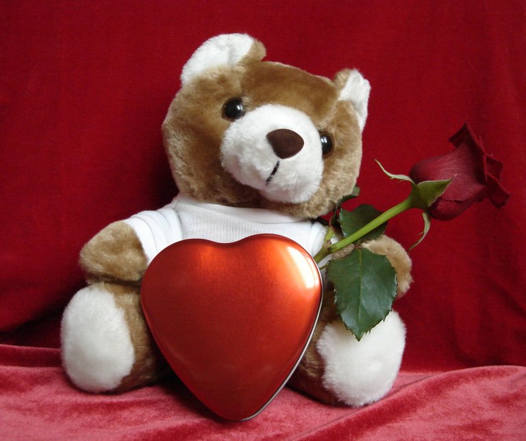 teddy-loves-you-1310911.jpg