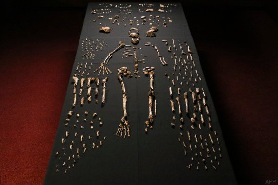 o-HOMO-NALEDI-570 (3).jpg