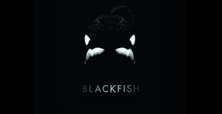 blackfish2.jpg