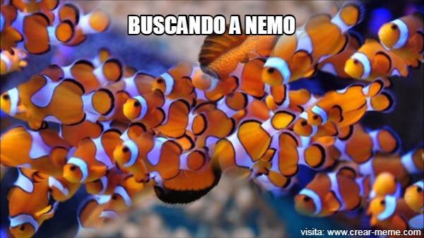 NEMO.png