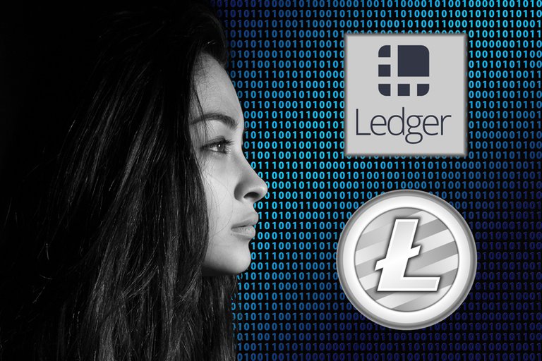 ledger.jpg