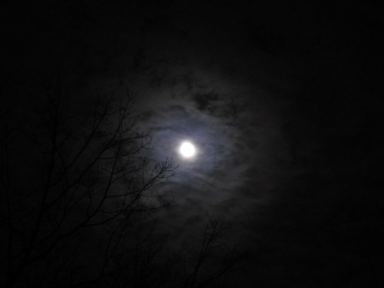 blue moon 20.JPG
