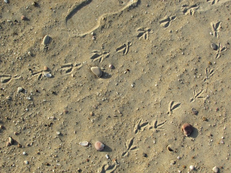 Haifa beach