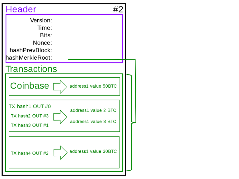 Bitcoin_block_structure.svg.png