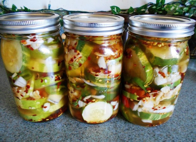 Lacto Fermented pickles.JPG