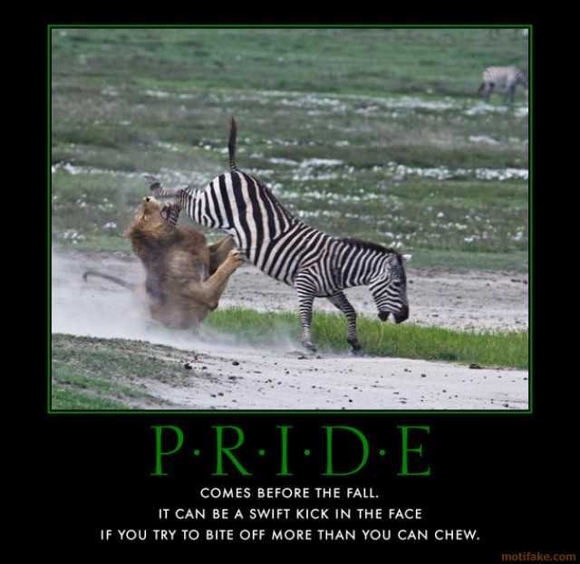 pride-pride-causes-neener-pain-demotivational-poster-1288073910.jpg